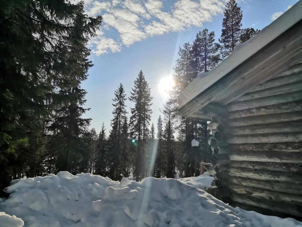 Mantytupa Lodge Syöte Exterior foto